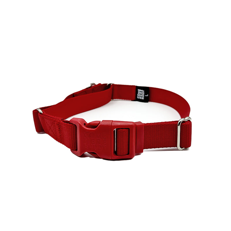 Martingale Collar