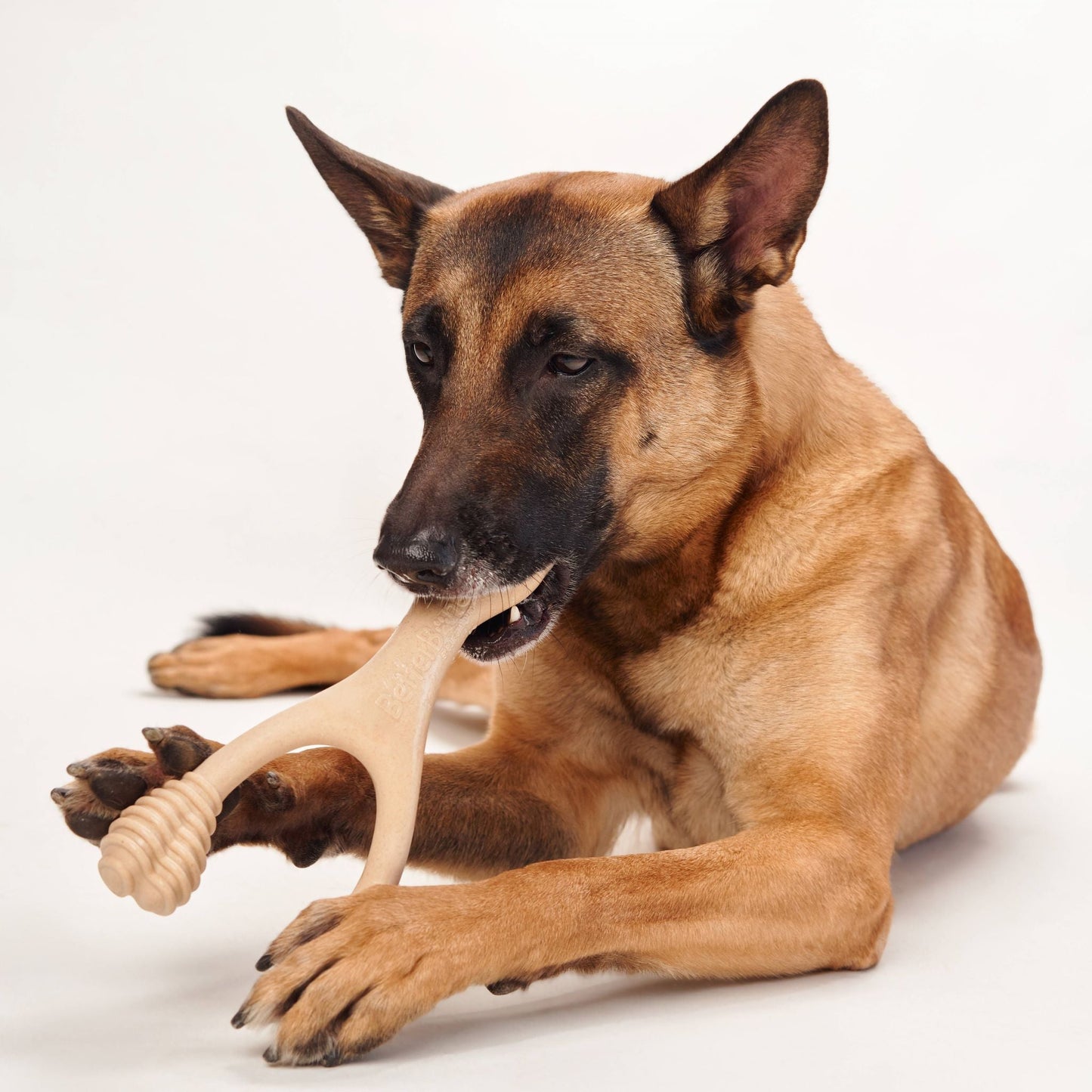 BetterBone Medium Chew Toy