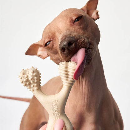 BetterBone Medium Chew Toy