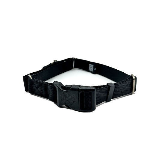 Martingale Collar