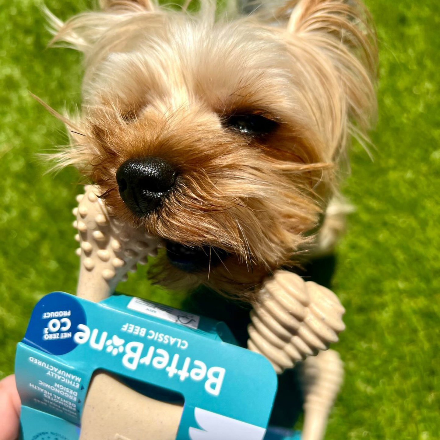 BetterBone Soft Chew Toy