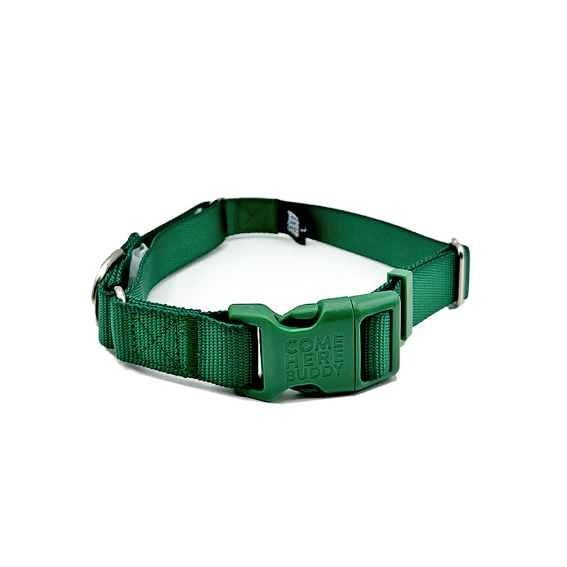 Martingale Collar
