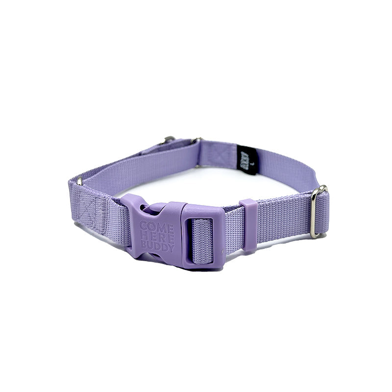 Martingale Collar