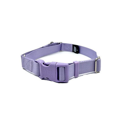 Martingale Collar